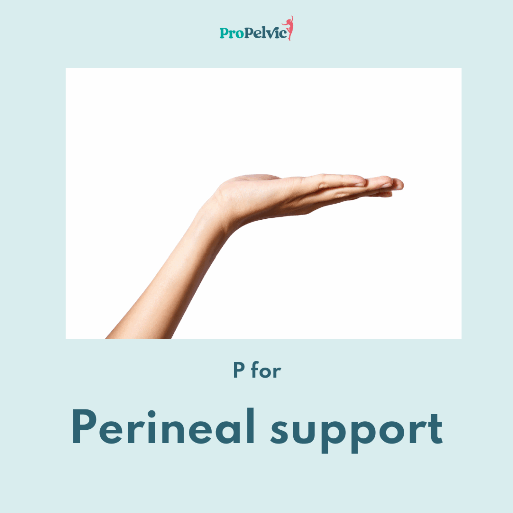 perineal support a flat hand to illustrate perineal support for perfect poos