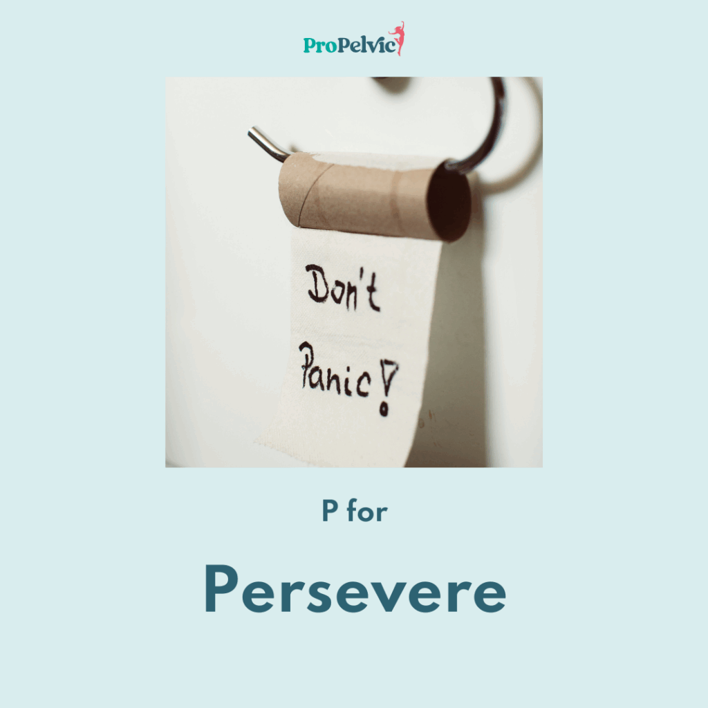 toilet paper showing words "don't panic" to illustrate p for persevere for perfect poos